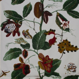 Tecido Parede Tecido Parede